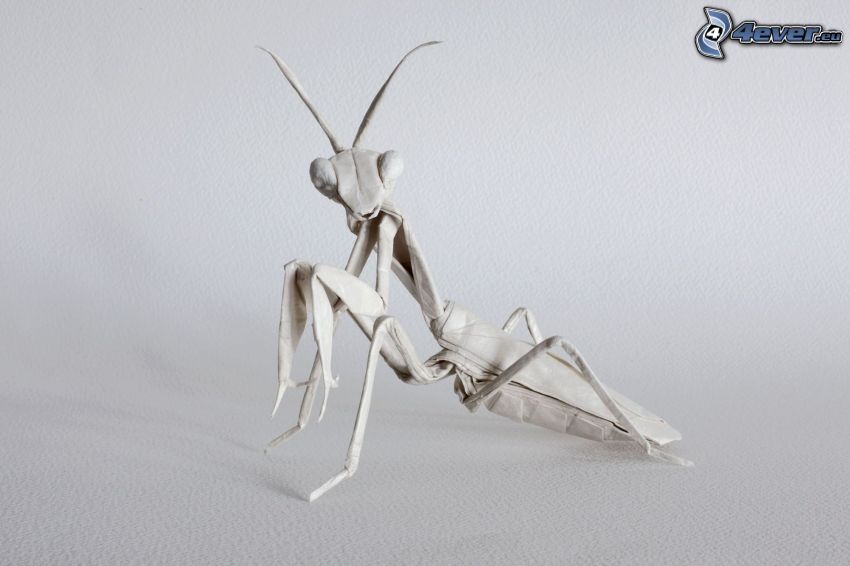 origami, Europäische Gottesanbeterin