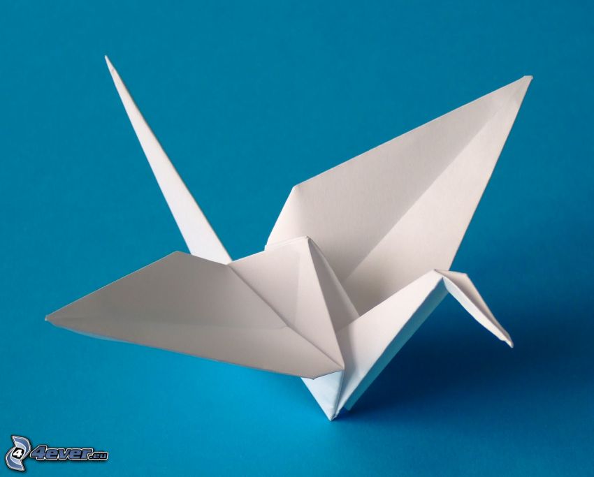 origami, Schwan