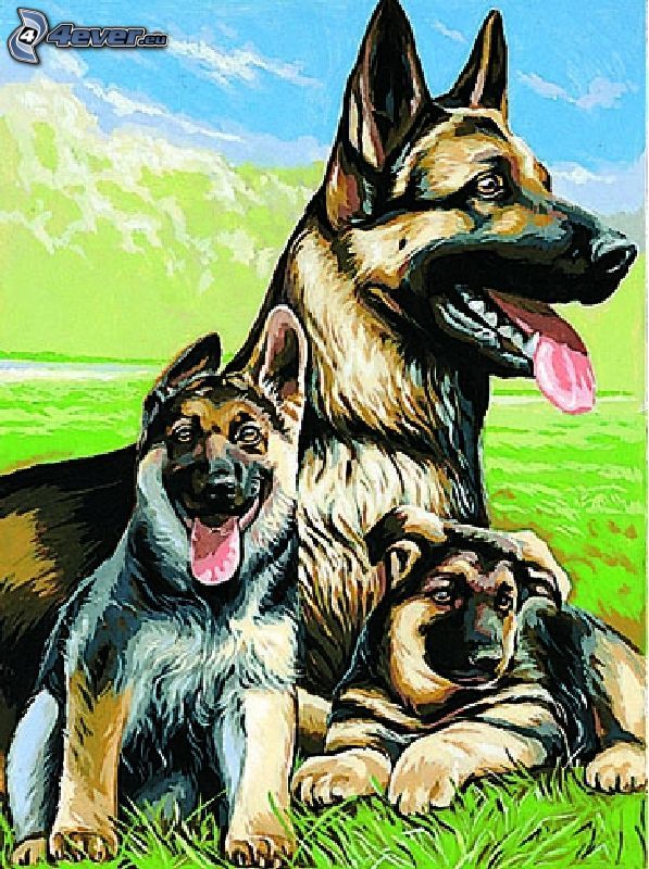 Wolfshundfamilie, Bild, Hunde