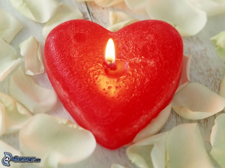 Rotes Herz, Kerze, Rosenblätter