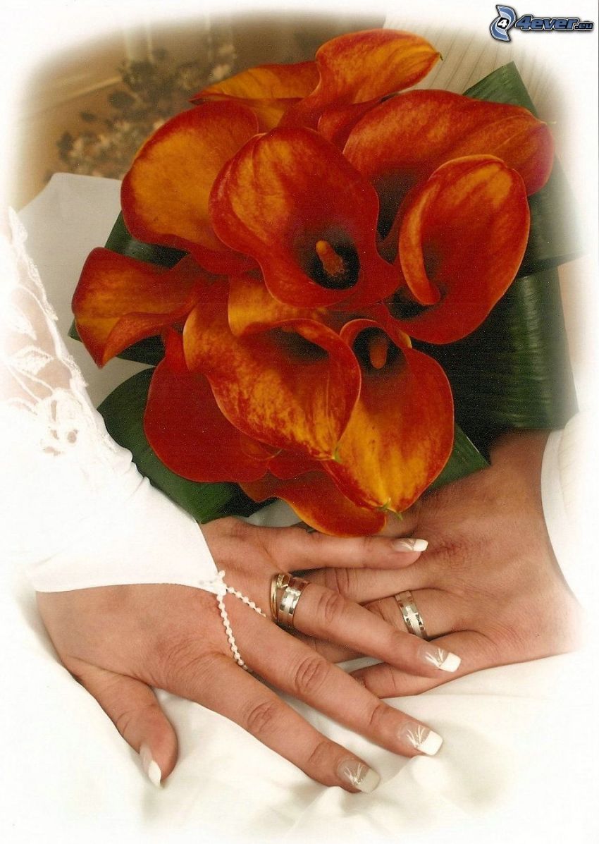 Hochzeit, Blumensträuße, Ringe