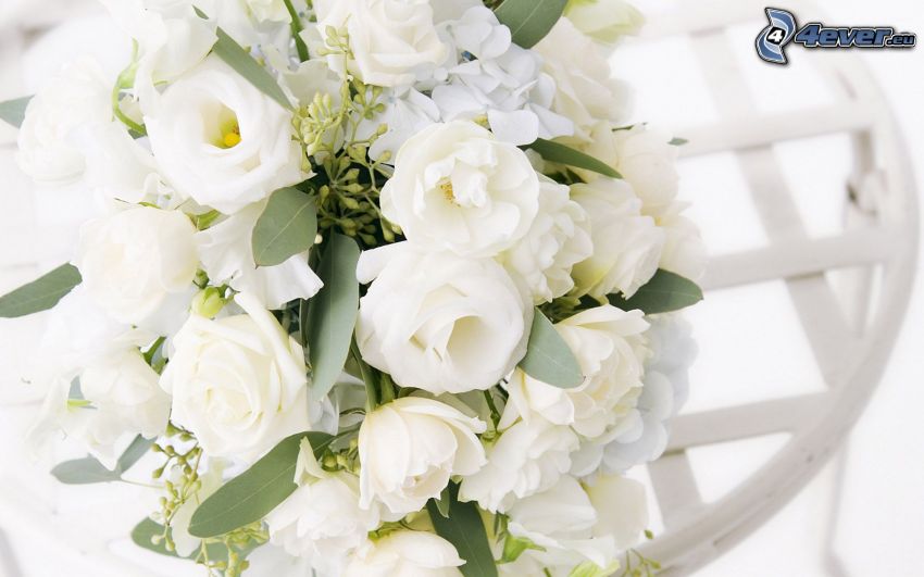 Hochzeitsstrauß, weiße Blumen