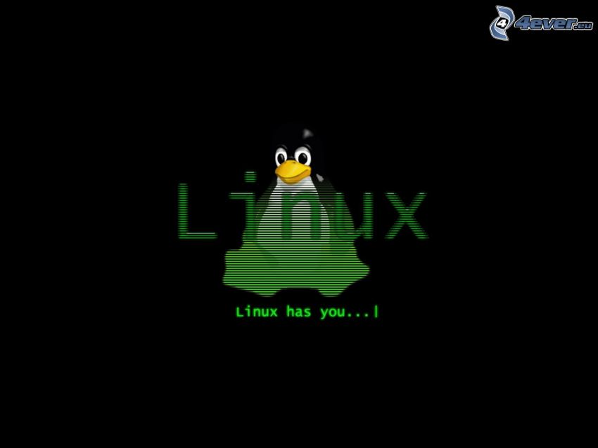 Linux, Pinguin