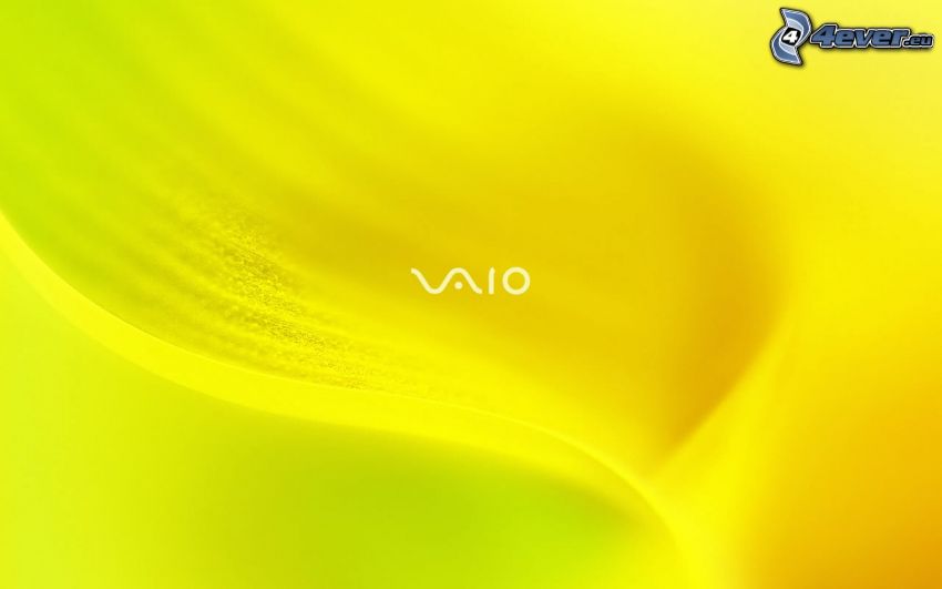 Sony Vaio, gelber Hintergrund
