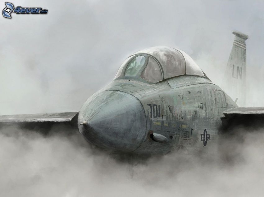 Jagdflugzeug, Rauch, Schwarzweiß Foto