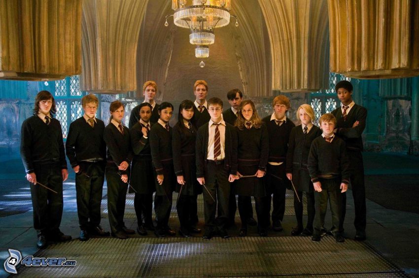 Harry Potter, Zauberer