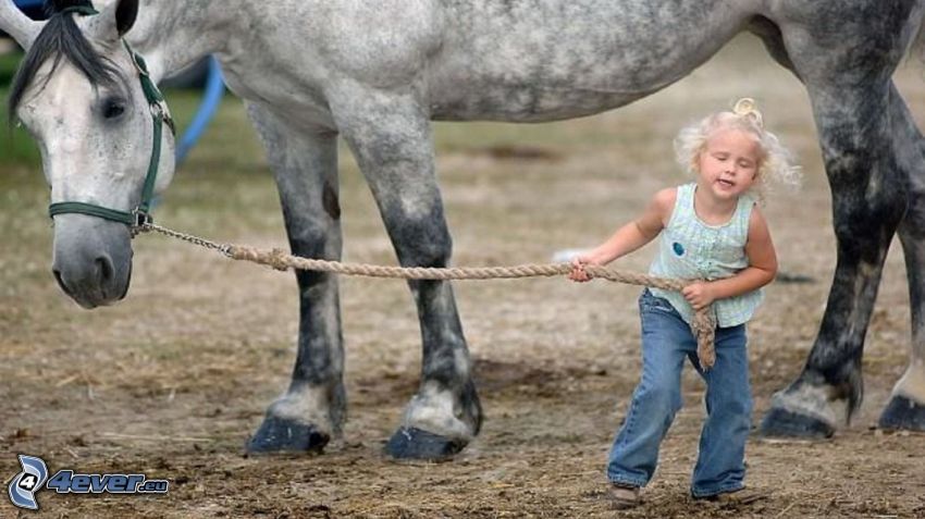 Mädchen, Pferd