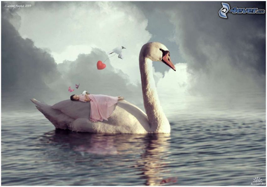 schlafendes Baby, Schwan, See