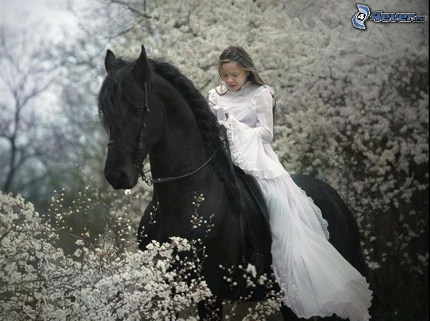 Mädchen auf dem Pferd, schwarzes Pferd, blühender Baum