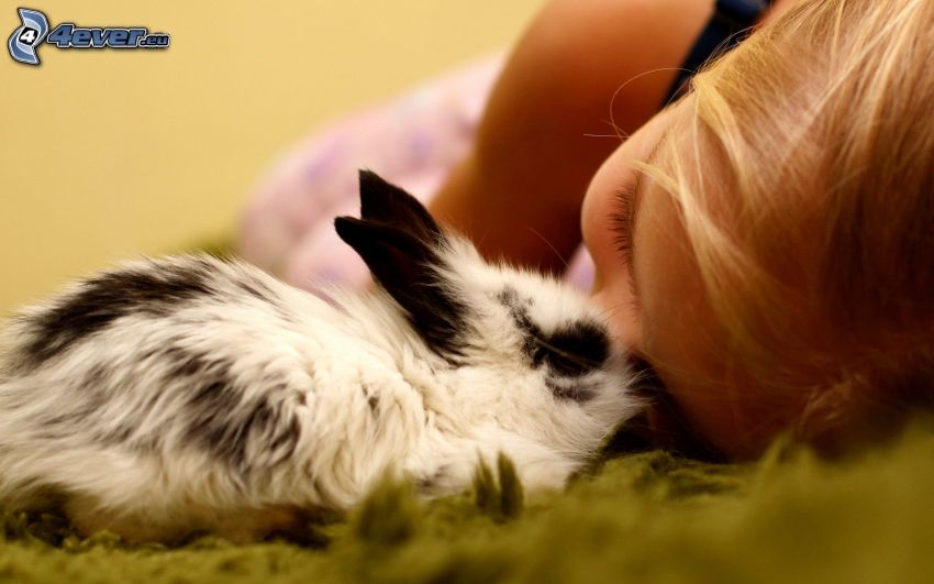 Mädchen und Kaninchen
