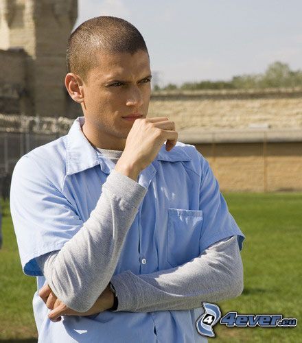 Michael Scofield, Prison Break, Wentworth Miller