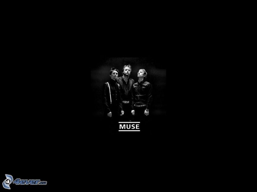 Muse, schwarzem Hintergrund