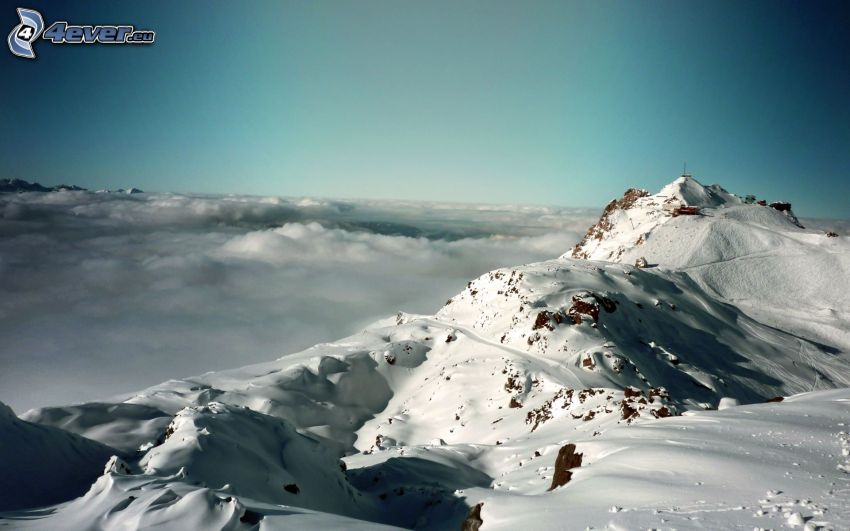 Alpen, schneebedeckte Berge, über den Wolken