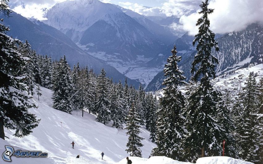 Alpen, verschneite Landschaft