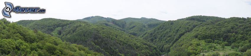 Berge, Wald, Panorama