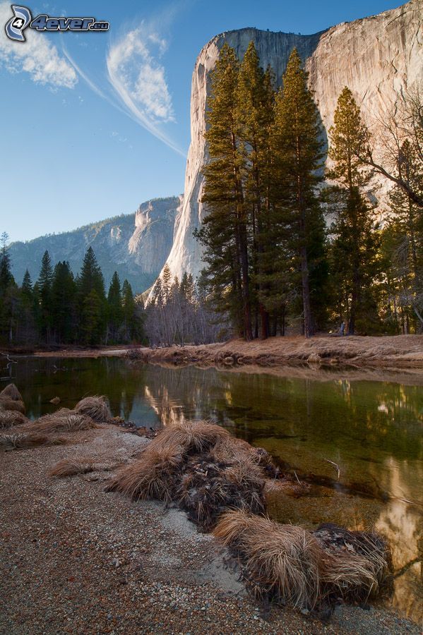El Capitan, Tal im Yosemite-Nationalpark, Bach, hohe Berge, felsige Berge, Nadelbäume