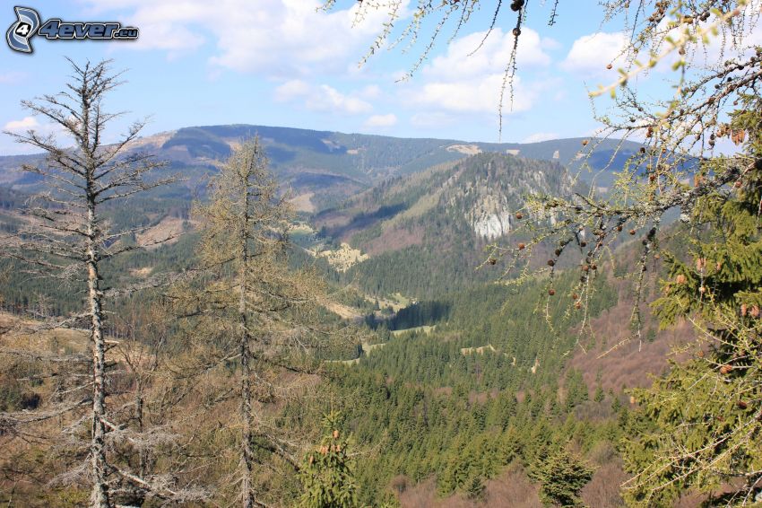Slowakisches Erzgebirge, Blick auf das Tal, Malá Stožka, Berge, Bäume, Nadelwald