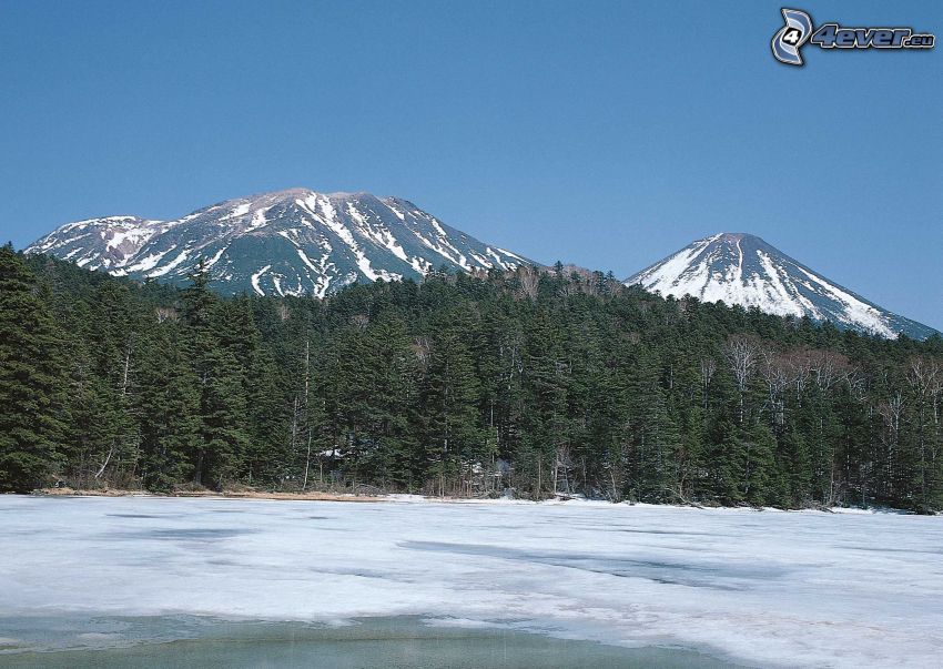 Wald, gefrorener See, schneebedeckte Berge, Japan