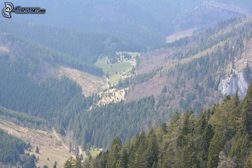 Blick auf das Tal, Berge, Malá Stožka, Slowakisches Erzgebirge