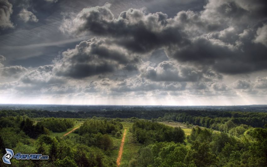 dunkle Wolken, Wald, HDR