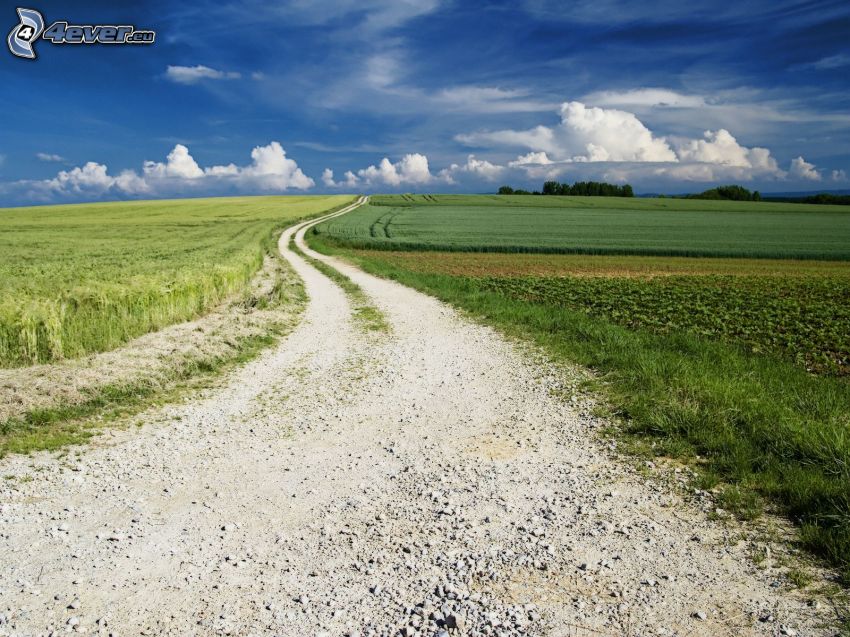 Feldweg, Feld, Wolken