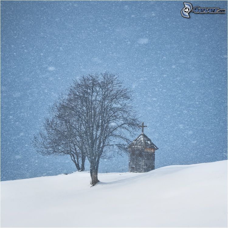 Kapelle, abgeblätterter Baum, schneefall