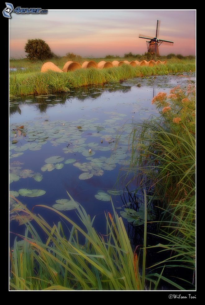 Fluss, Windmühle, Heu, Niederlande