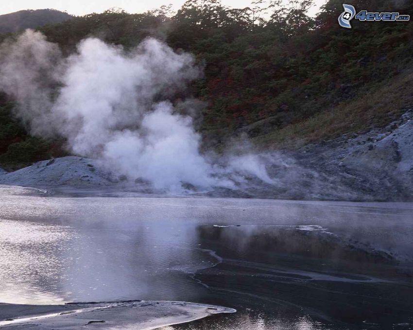 Geysir, Dampf, Wasser, Büsche