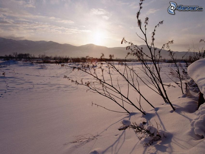 Sonnenaufgang im Winter, schneebedecktes Feld
