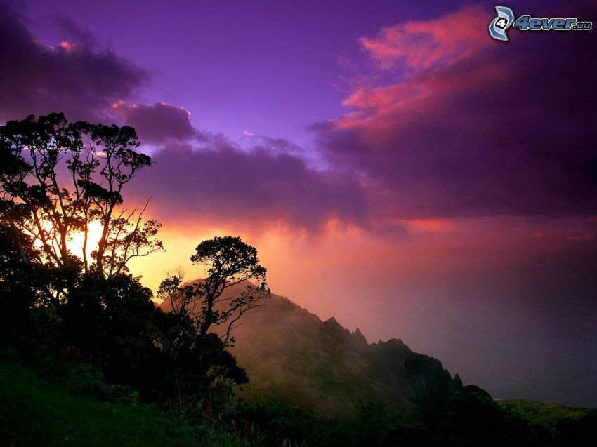 Sonnenuntergang hinter dem Hügel, Silhouette des Baumes, lila Himmel