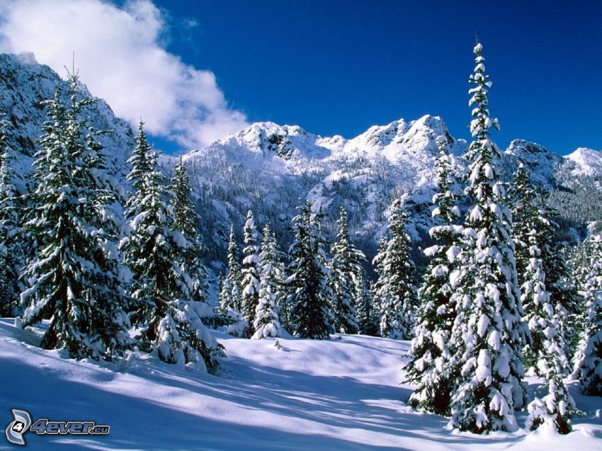 verschneite Landschaft, Schneebedeckte Berge