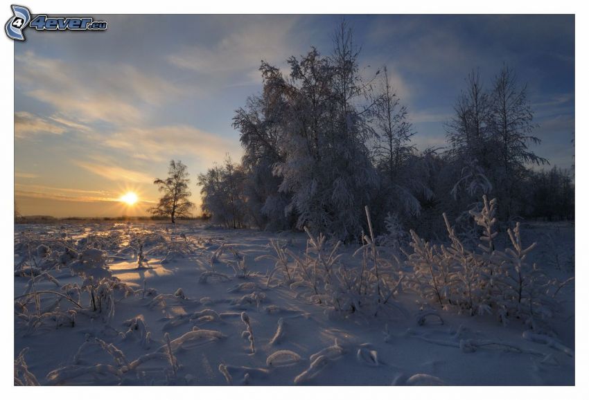 verschneite Landschaft, Sonnenaufgang