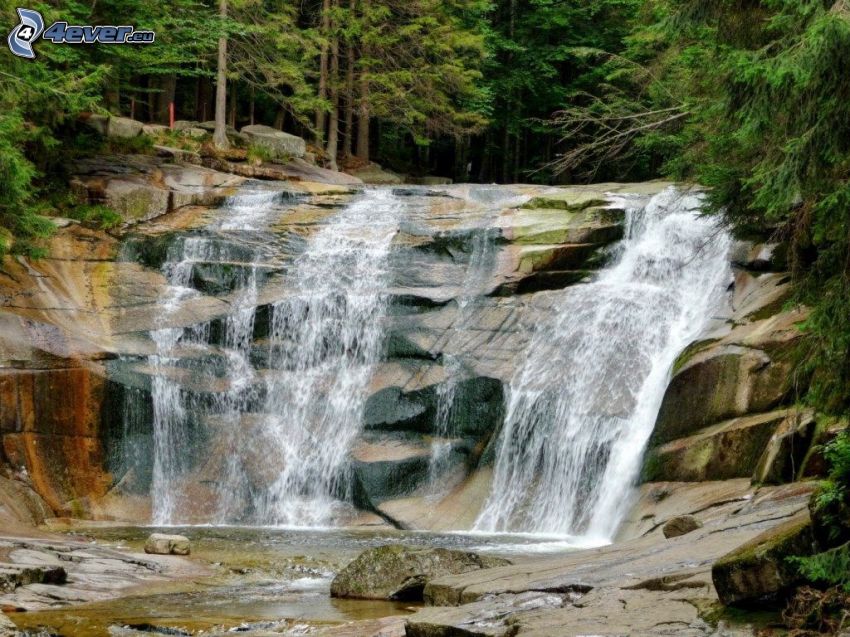 Wasserfall, Fluss im Wald
