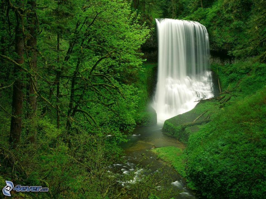 Wasserfall, Grün