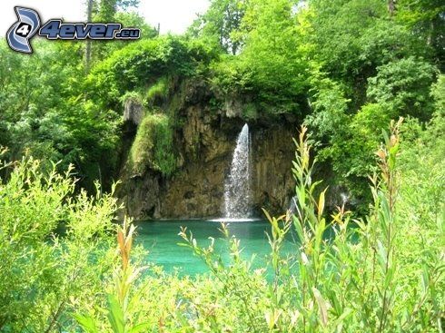 Wasserfall im Wald, See im Wald, grünes Wasser