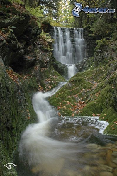 Wasserfall im Wald
