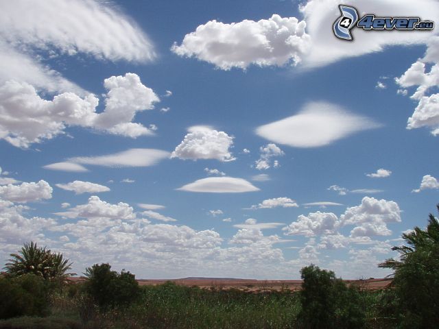 Wolken, Himmel, Bäume, Landschaft