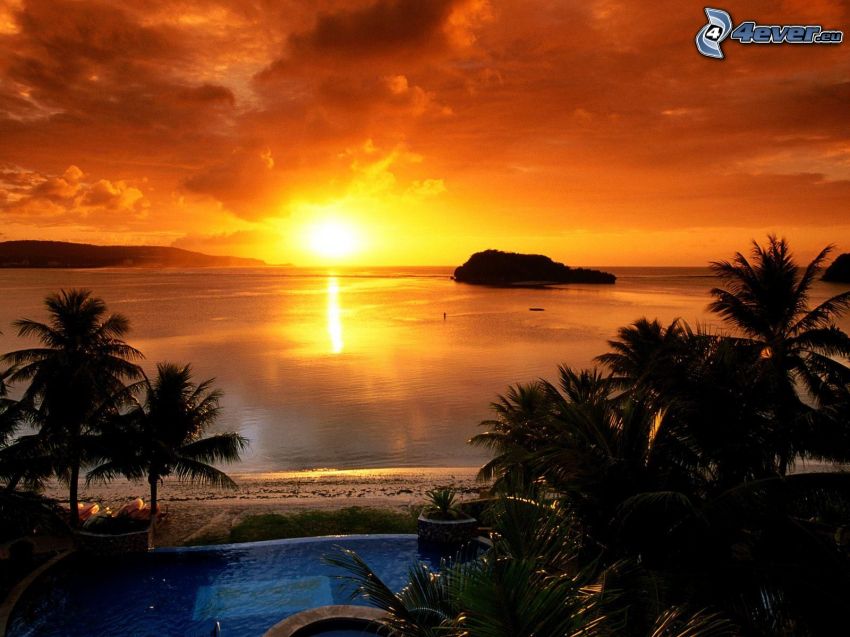Orange Sonnenuntergang über dem Meer, Palmen