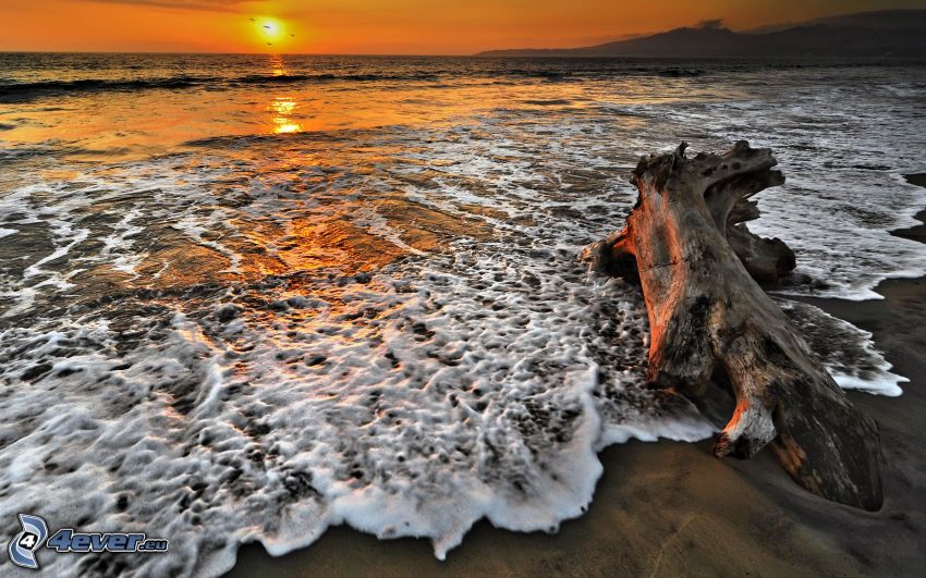 Stumpf auf dem Strand, Orange Sonnenuntergang über dem Meer
