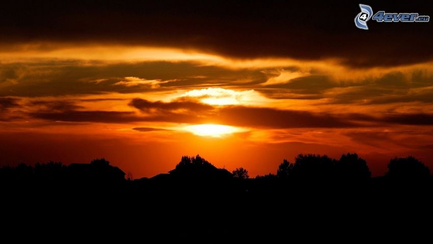 orange Sonnenuntergang, Bäum Silhouetten