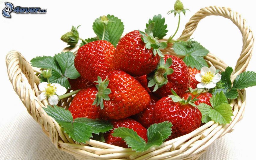 Erdbeeren, Korb