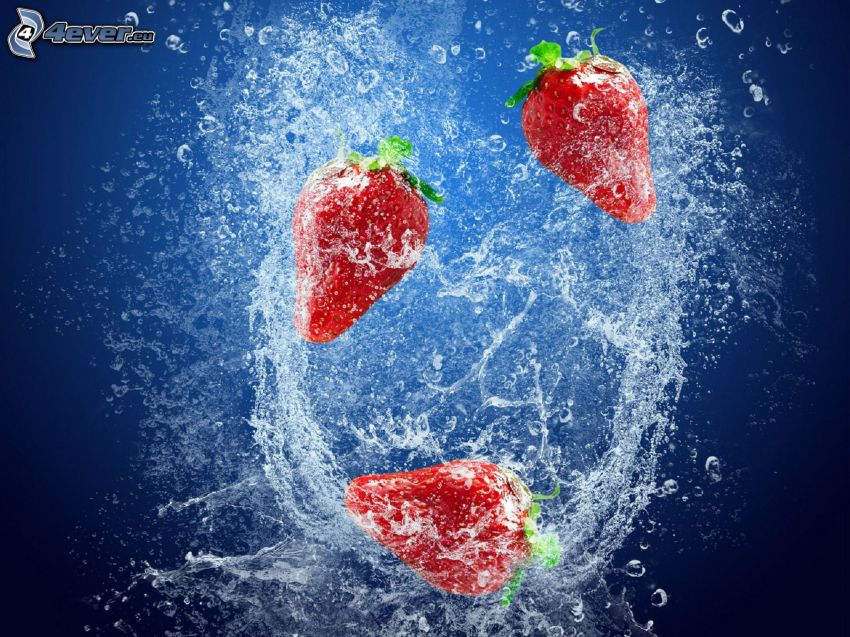 Erdbeeren, Wasser