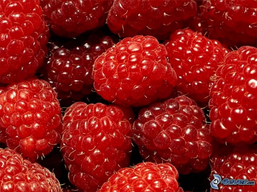 Himbeeren