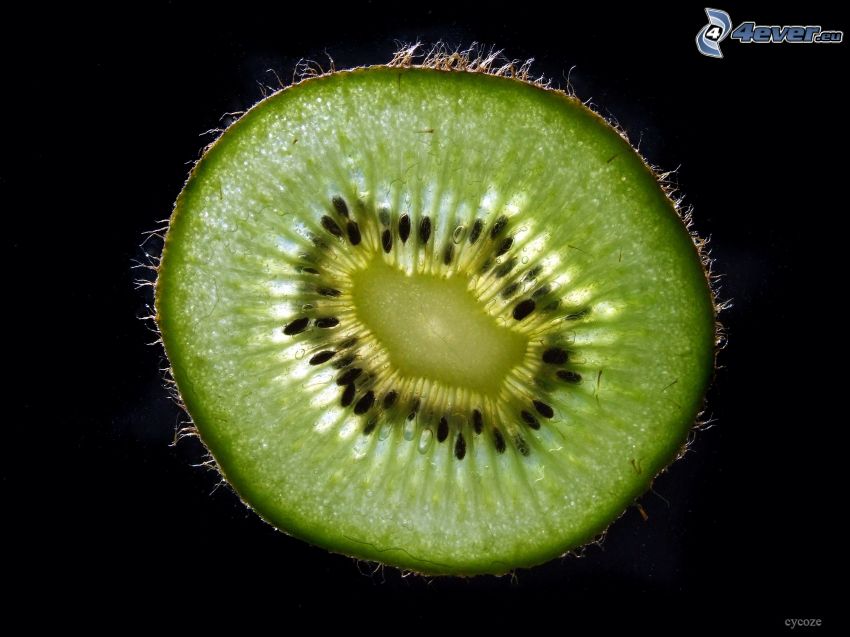 kiwi