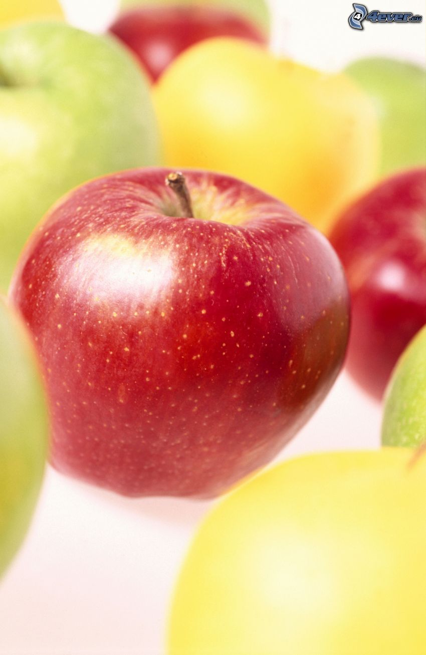 roter Apfel, Äpfel