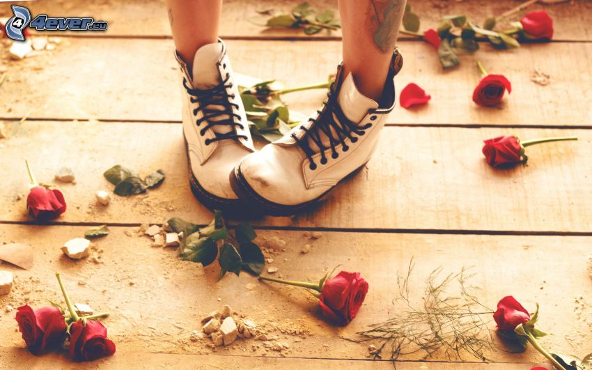 Mädchen Beine, weiße Schuhe, rote Rosen