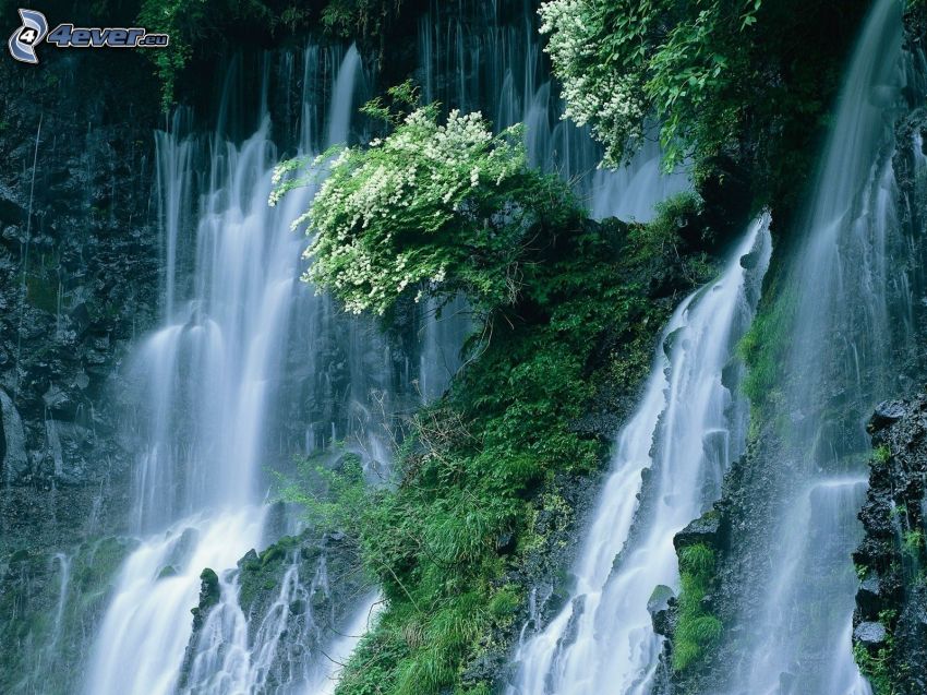 riesiger Wasserfall