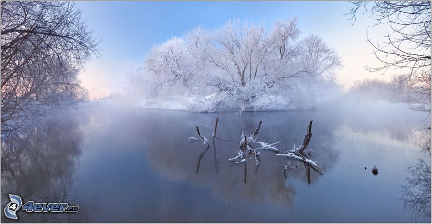 ruhiger See im Winter, schneebedeckter Baum