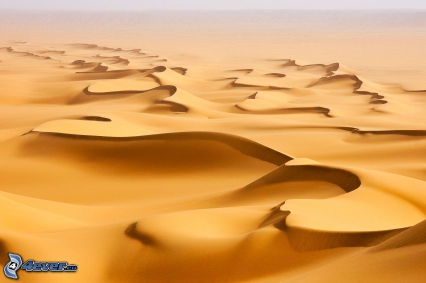 Sanddünen, Wüste