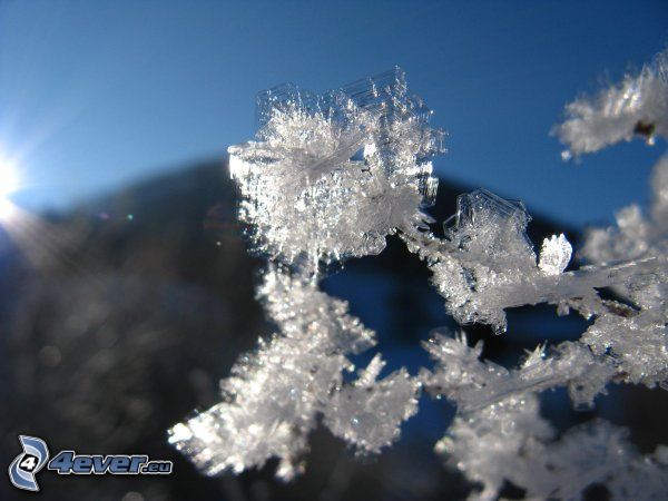 Schnee, Kristall
